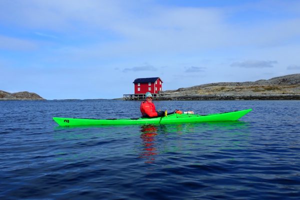 Kajakkpadling halv dag på Vega